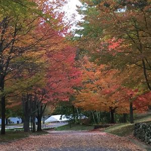 Meet your Posher, Avni